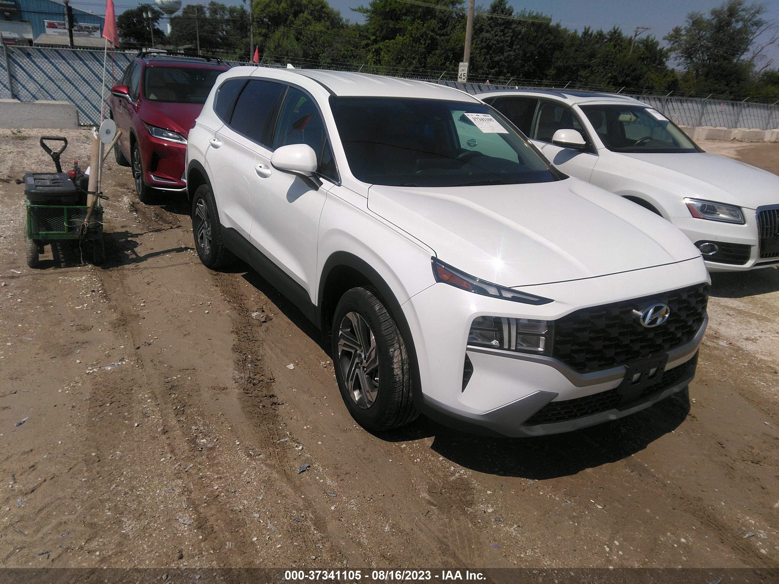 HYUNDAI SANTA FE 2023 5nms1daj5ph564791