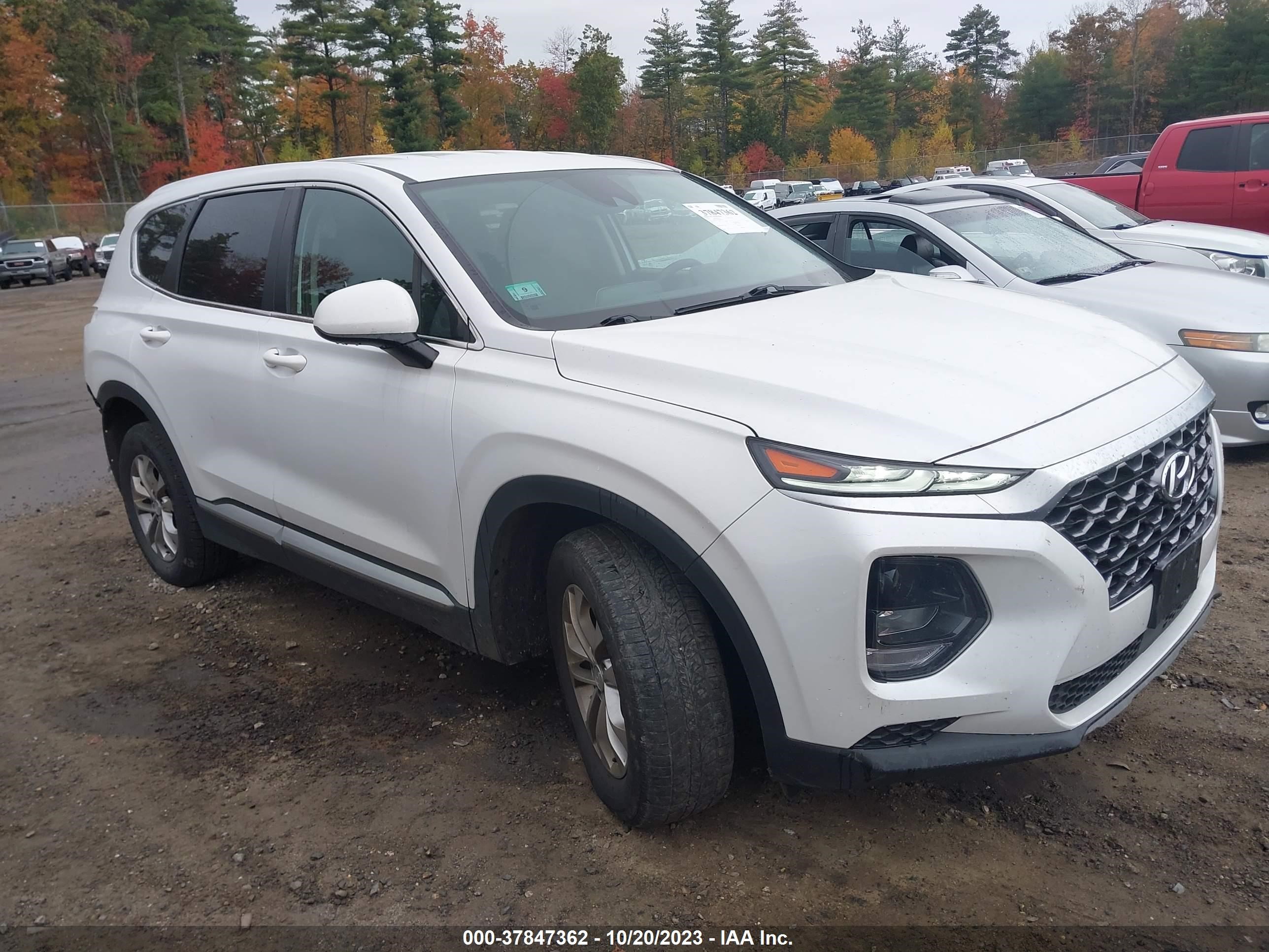 HYUNDAI SANTA FE 2019 5nms2cad4kh093274