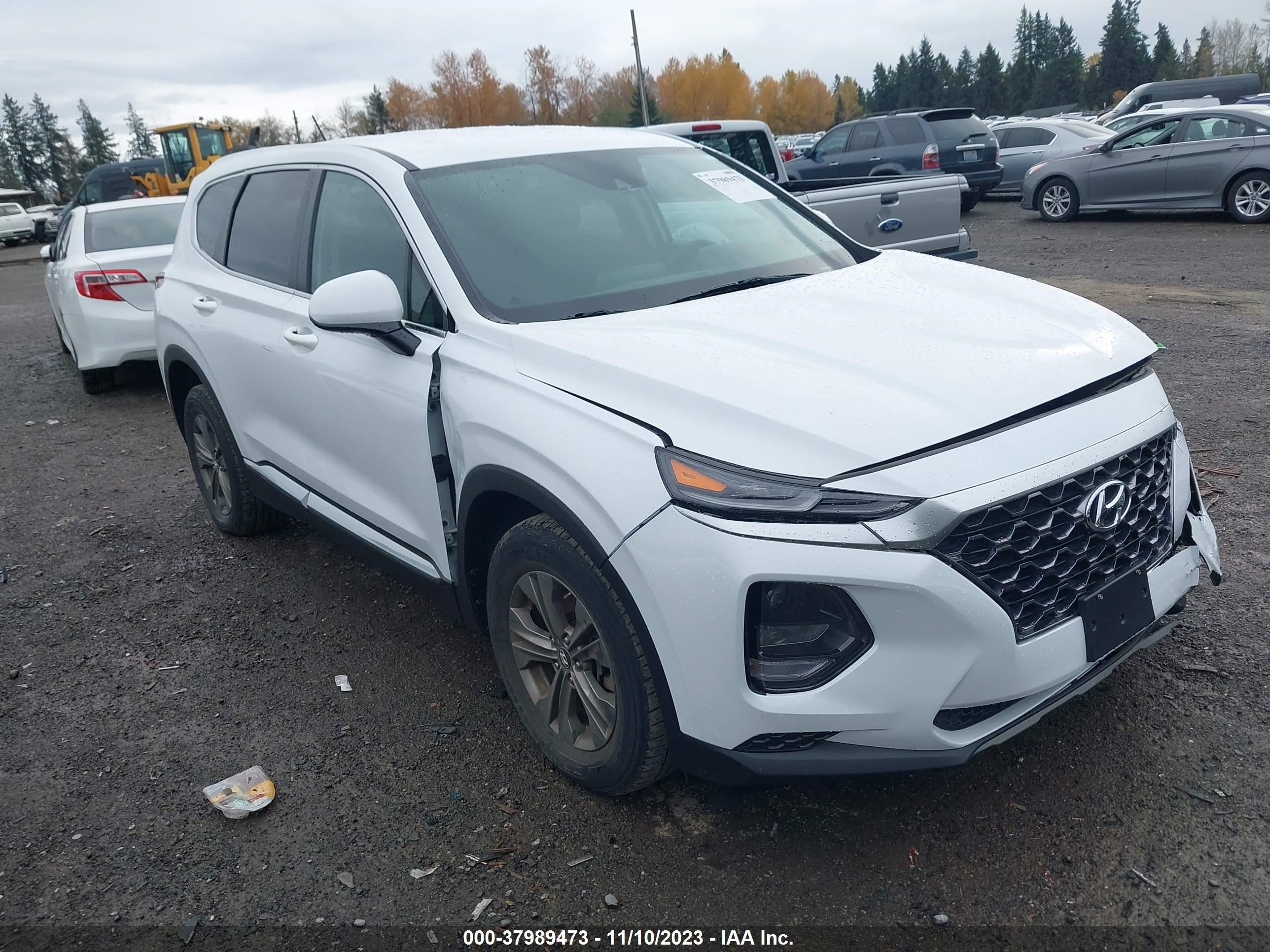 HYUNDAI SANTA FE 2019 5nms2cad5kh113421