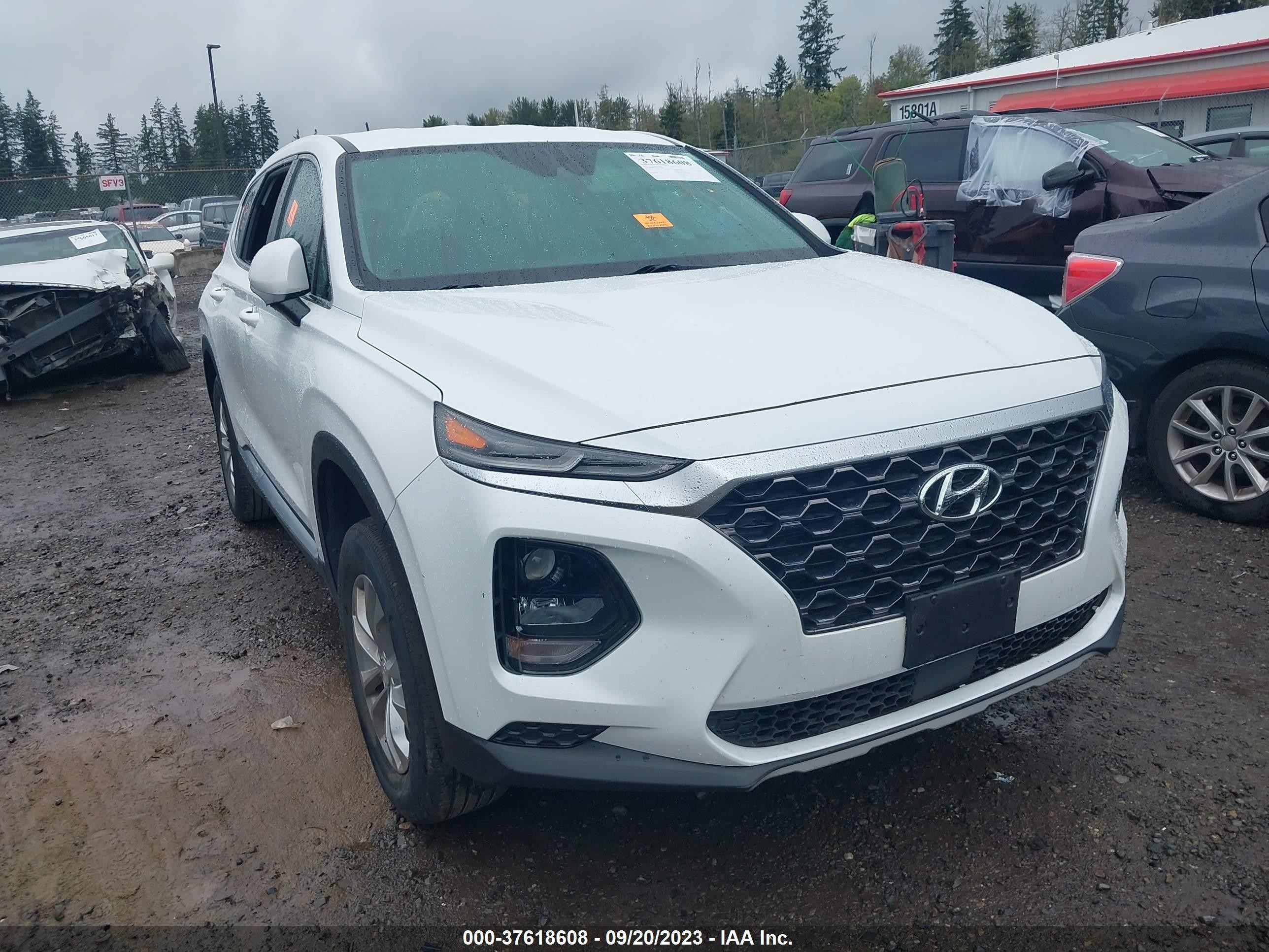 HYUNDAI SANTA FE 2019 5nms2cad7kh096945