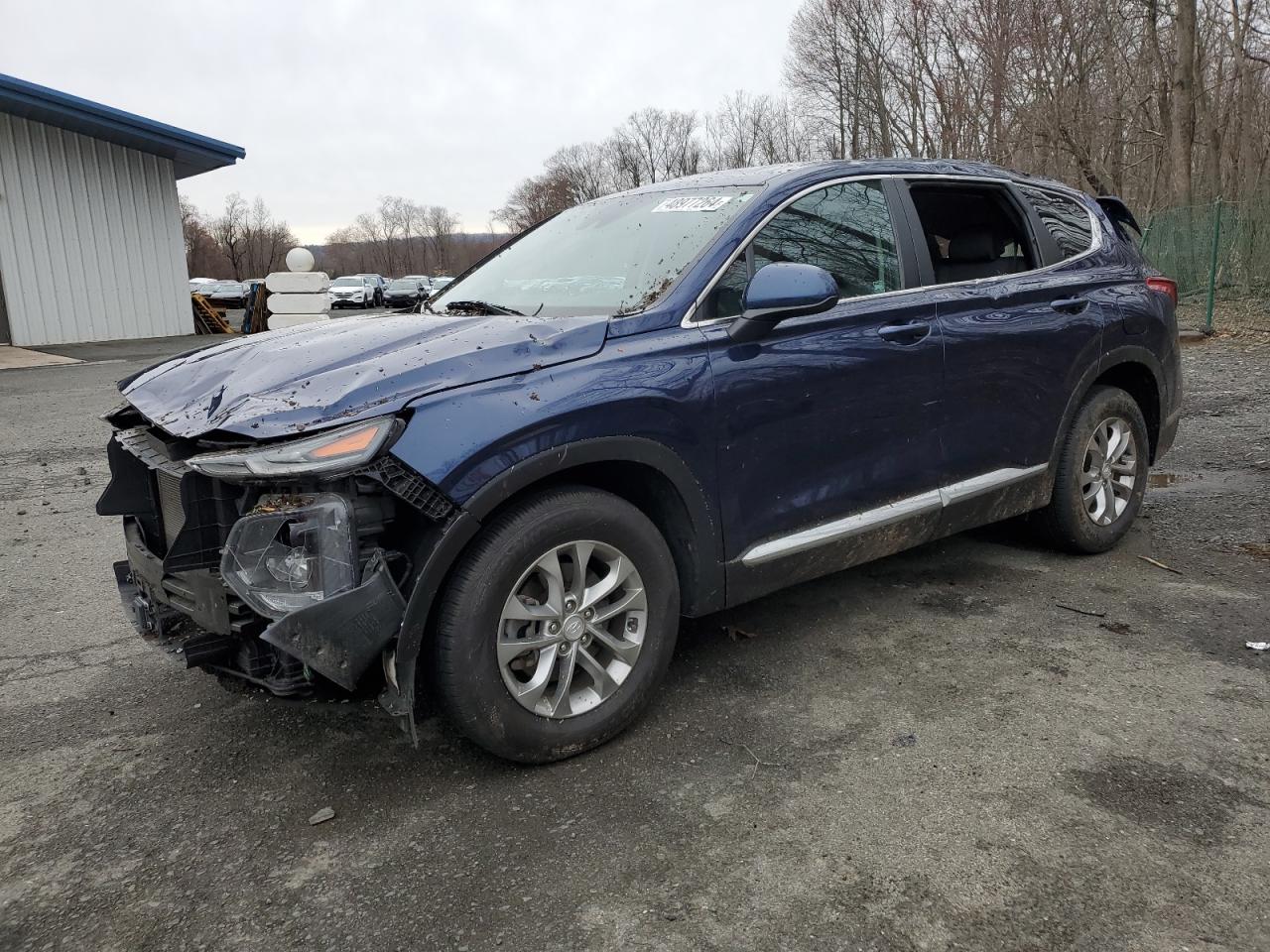 HYUNDAI SANTA FE 2019 5nms2cadxkh110689