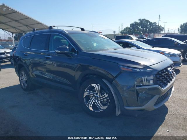 HYUNDAI SANTA FE 2023 5nms2daj0ph596237