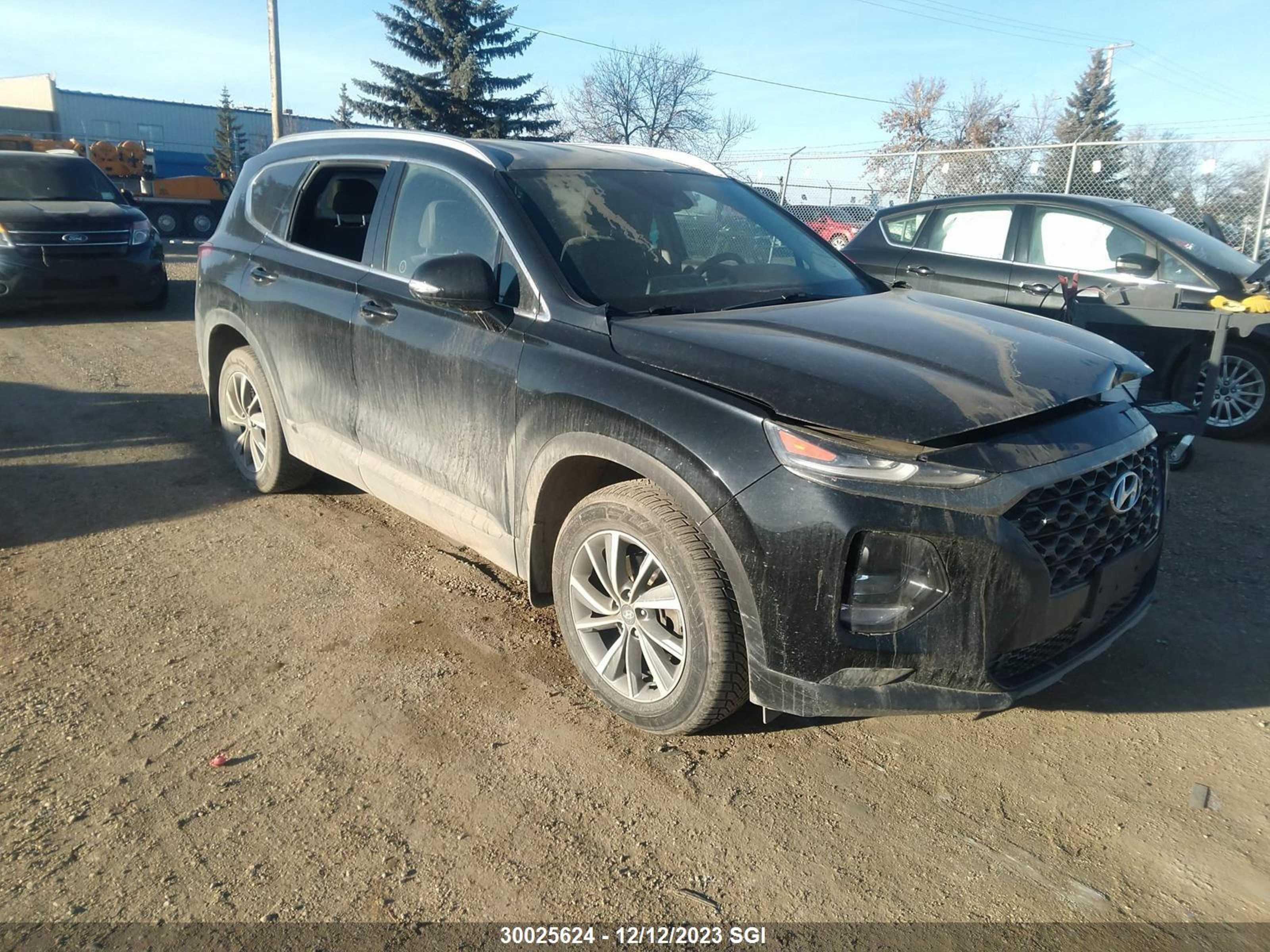 HYUNDAI SANTA FE 2019 5nms3cad1kh092905