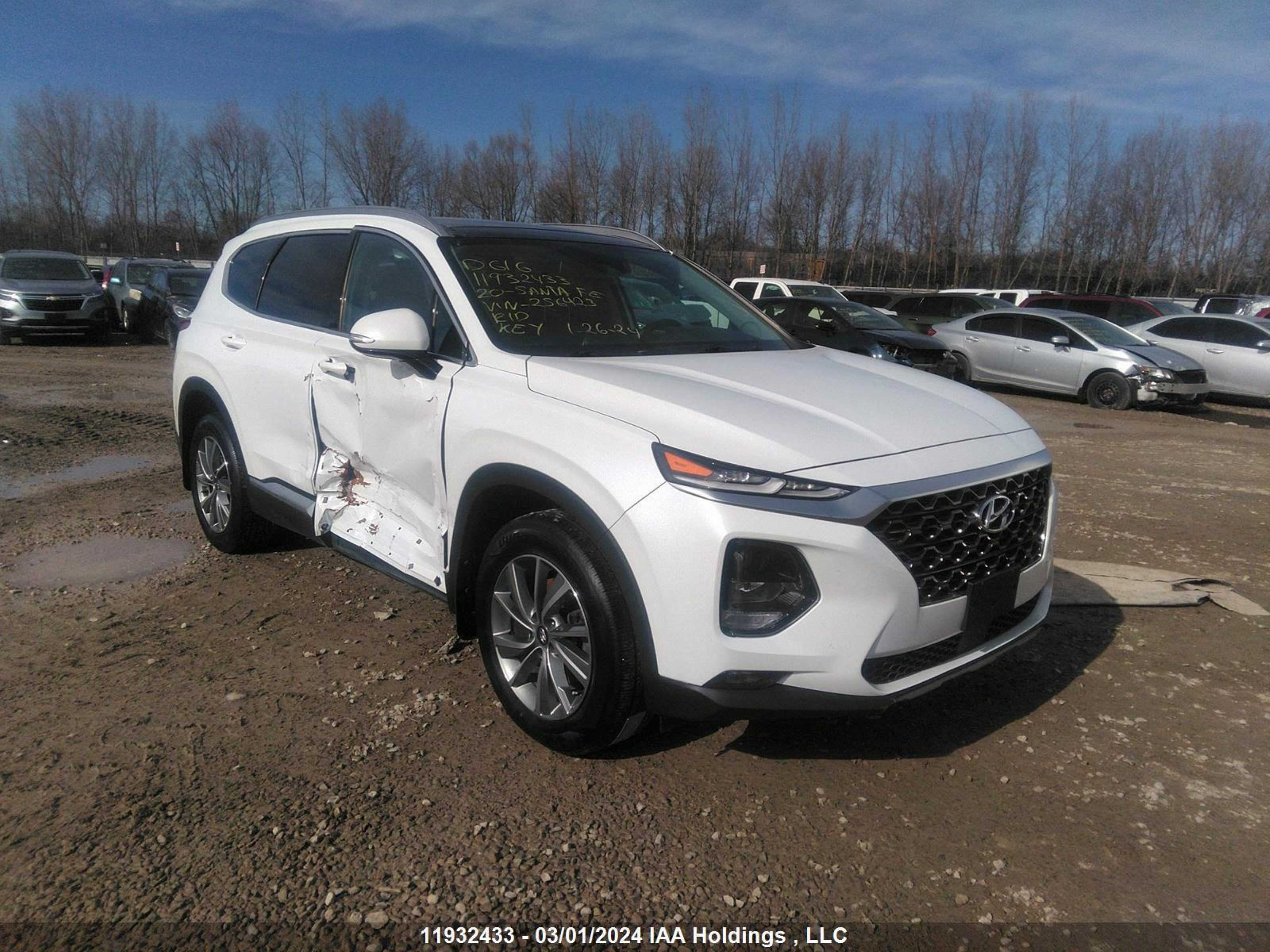 HYUNDAI SANTA FE 2020 5nms3cad2lh256423