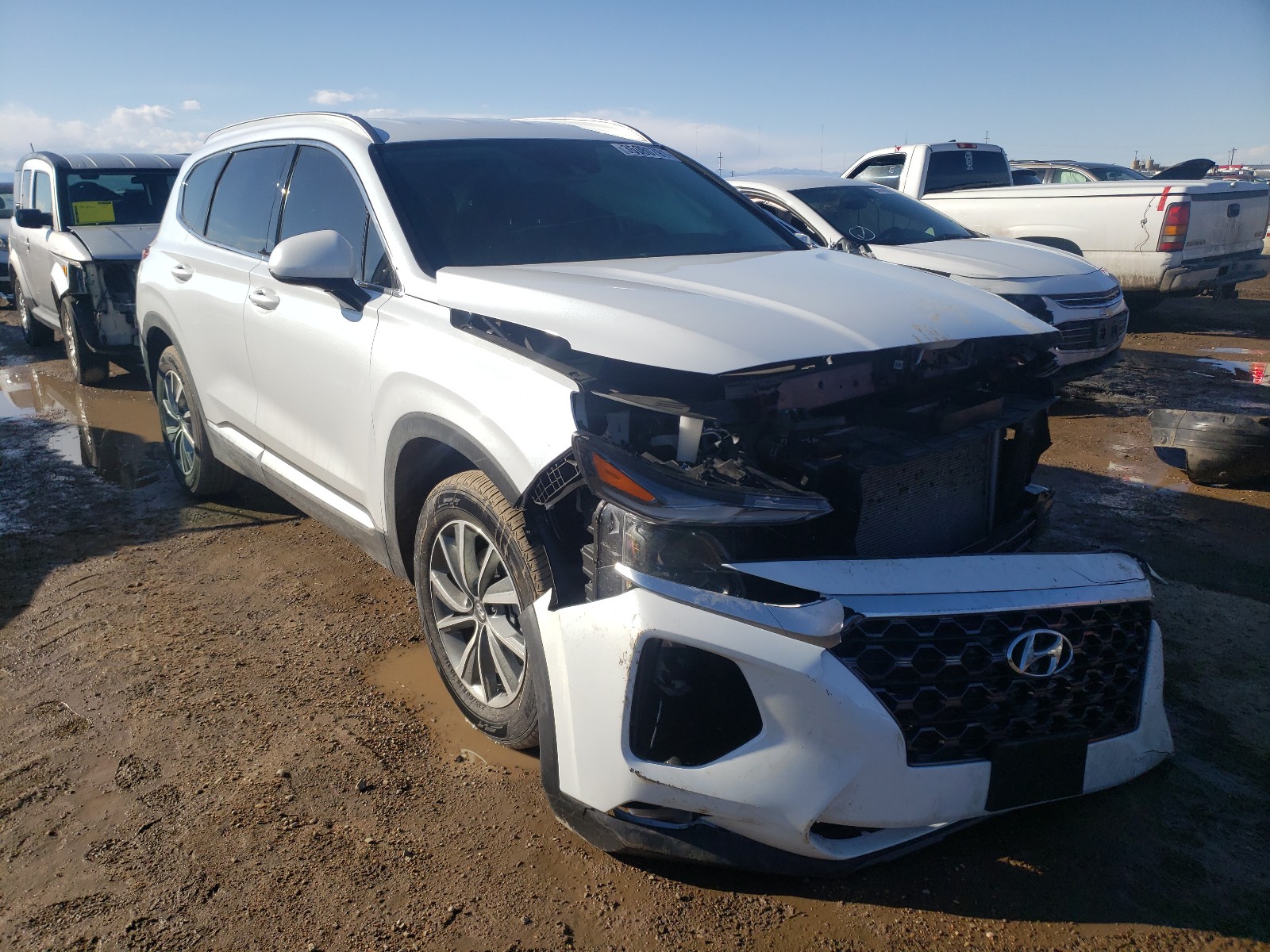 HYUNDAI SANTA FE 2019 5nms3cad7kh066034