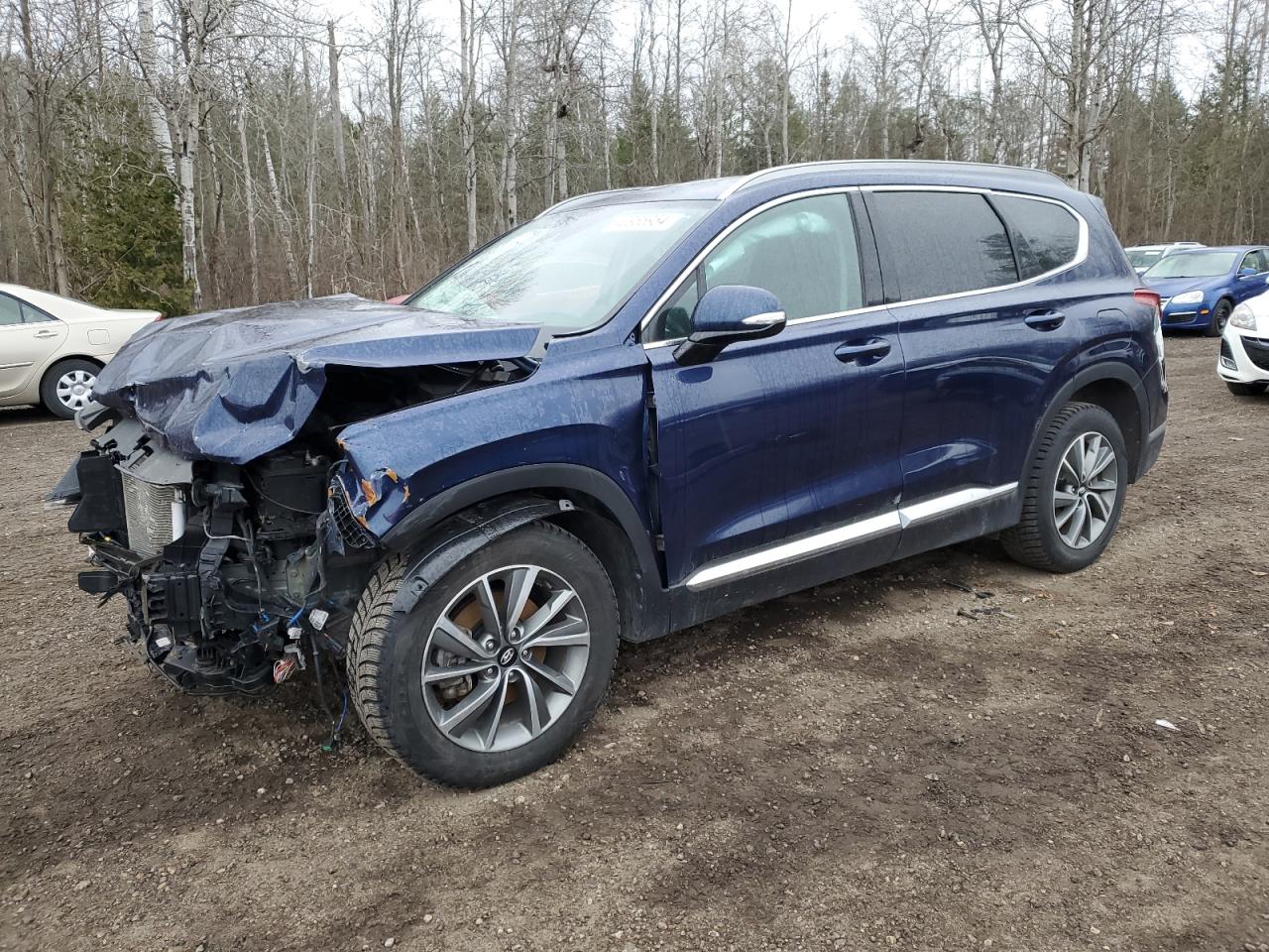 HYUNDAI SANTA FE 2019 5nms3cadxkh006846