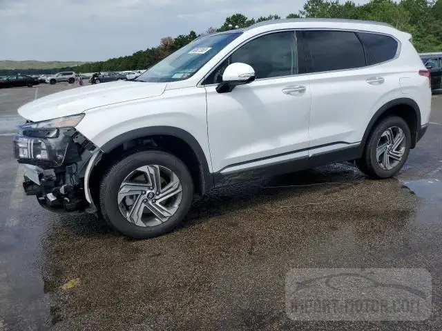 HYUNDAI SANTA FE 2023 5nms3daj0ph561890