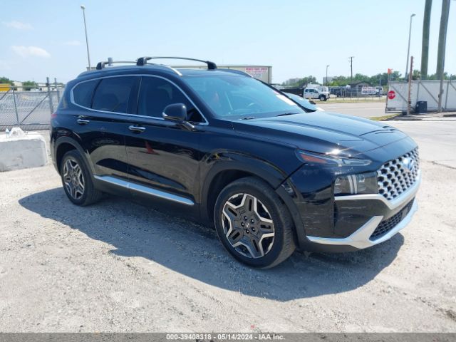 HYUNDAI SANTA FE 2023 5nms44al6ph536135