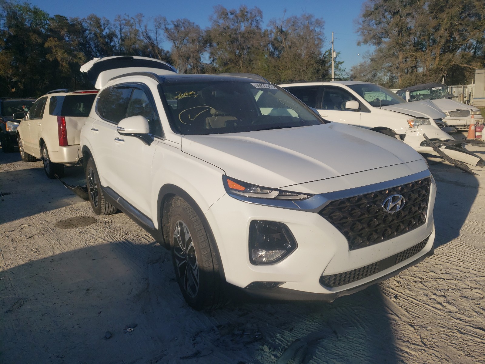 HYUNDAI SANTA FE L 2019 5nms53aa3kh032396