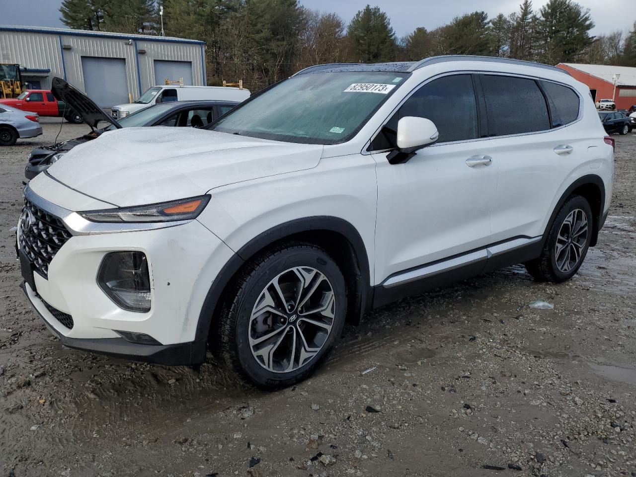 HYUNDAI SANTA FE 2019 5nms5caa0kh101271