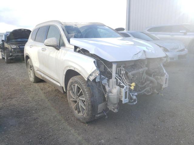 HYUNDAI SANTA FE L 2019 5nms5cad5kh022589