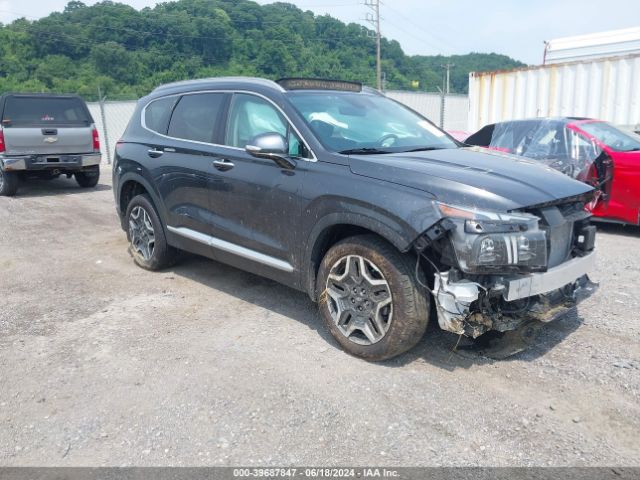 HYUNDAI SANTA FE 2023 5nms5da1xph001921