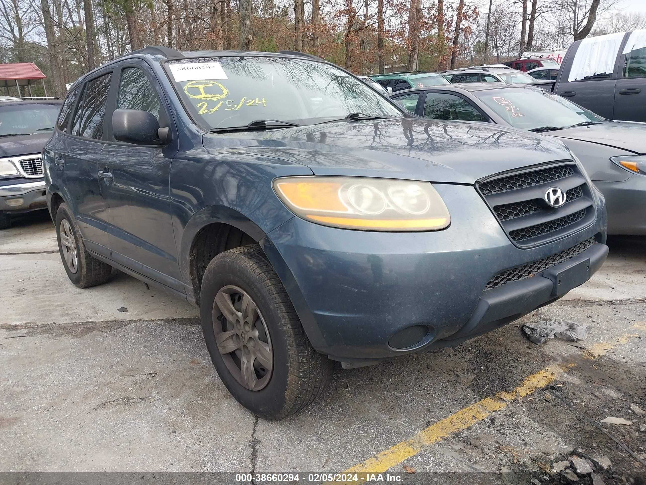 HYUNDAI SANTA FE 2009 5nmsg13d09h295669