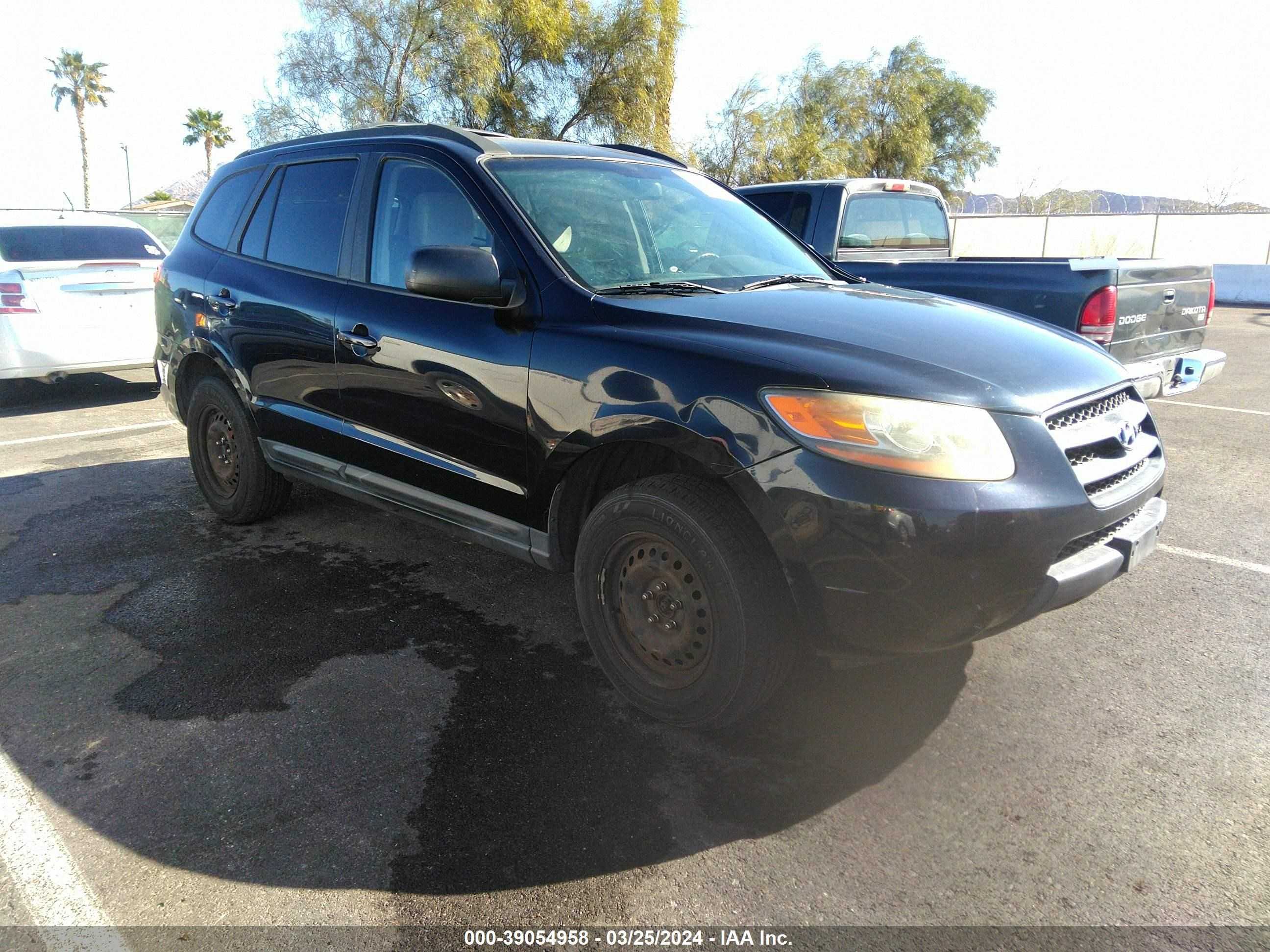 HYUNDAI SANTA FE 2009 5nmsg13d29h317073