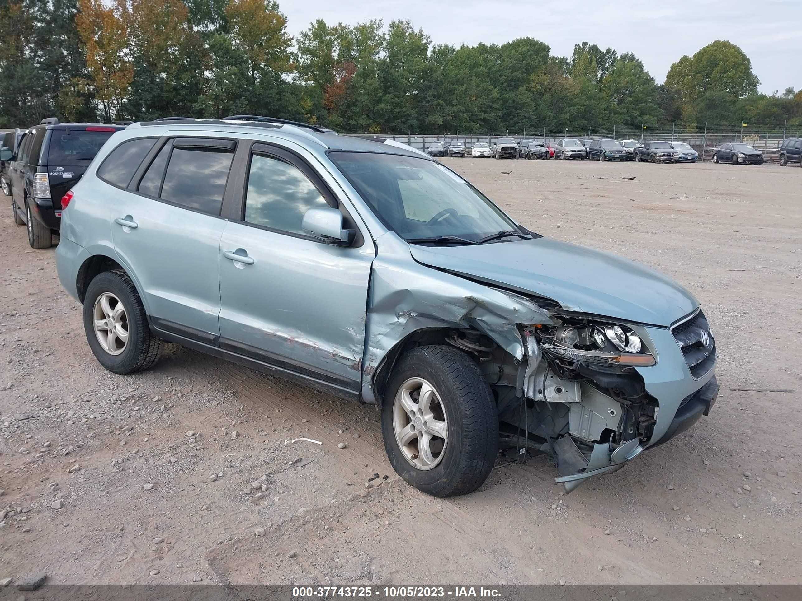 HYUNDAI SANTA FE 2007 5nmsg13d47h052461