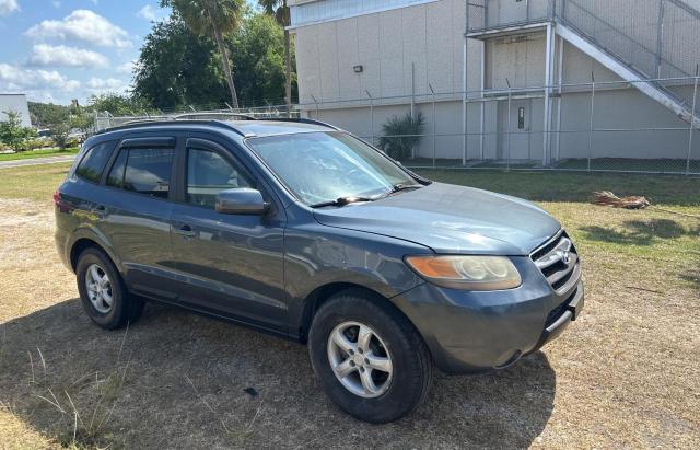 HYUNDAI SANTA FE 2007 5nmsg13d47h064397