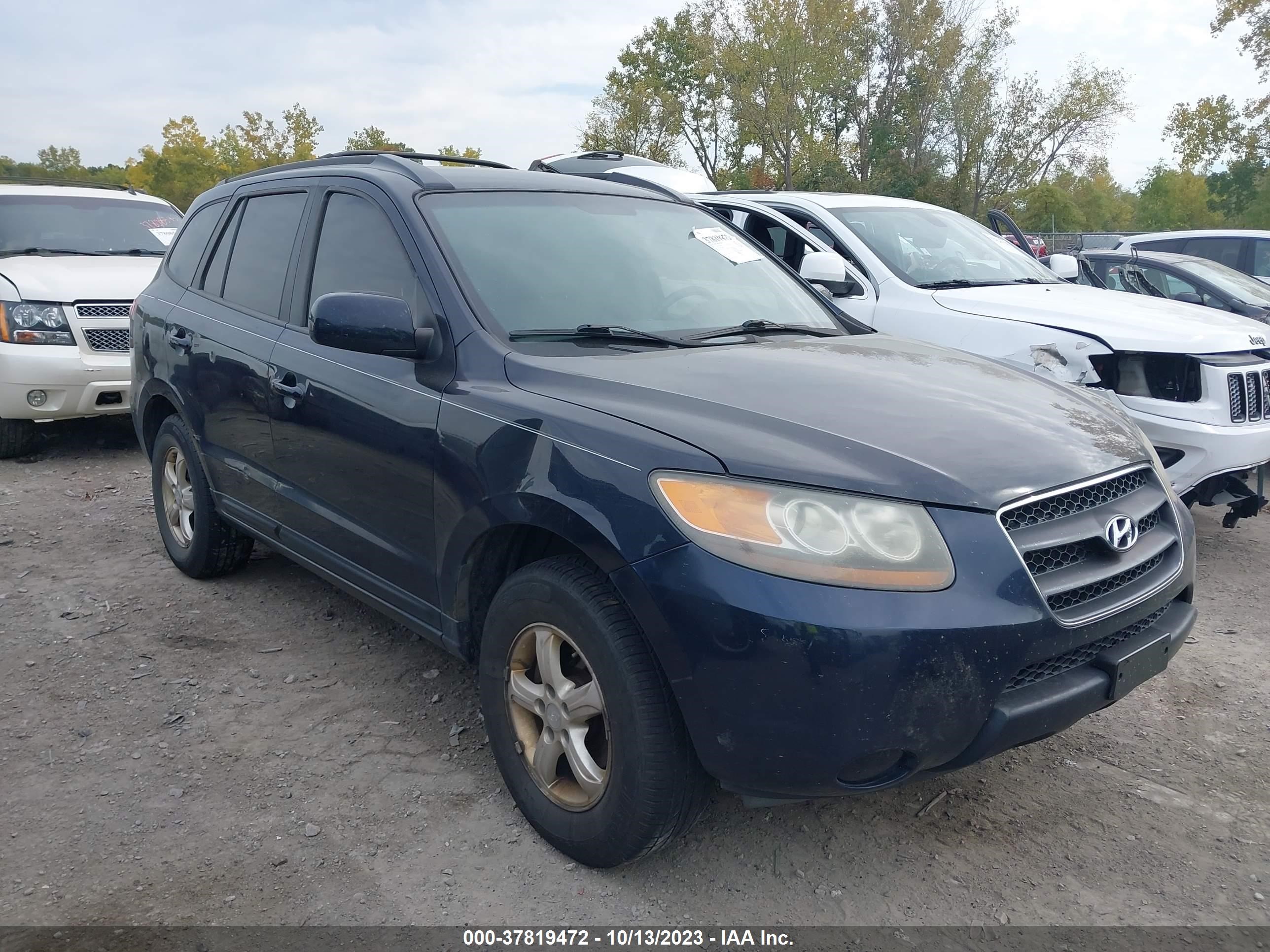 HYUNDAI SANTA FE 2007 5nmsg13d47h089297