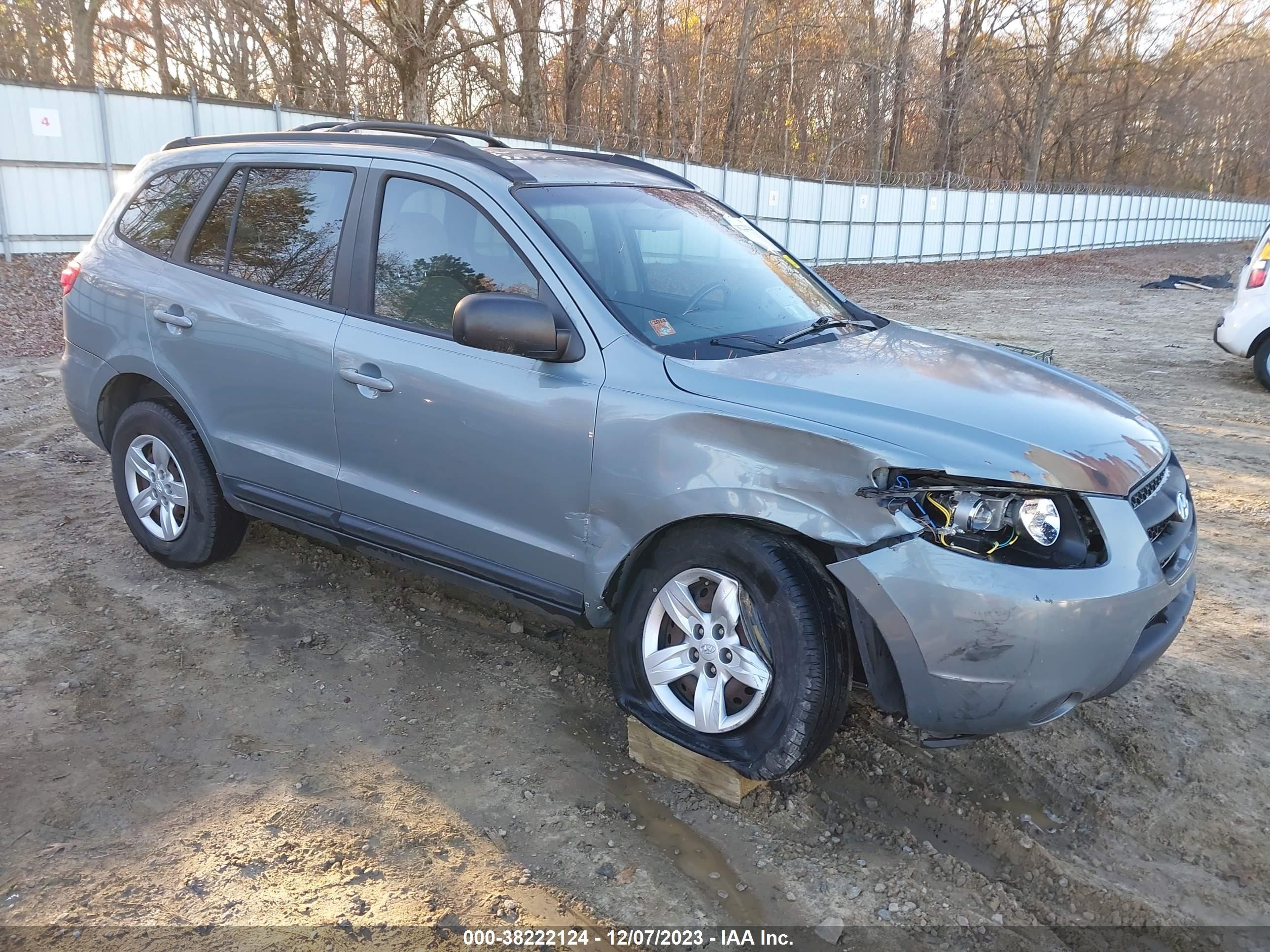 HYUNDAI SANTA FE 2009 5nmsg13d49h272881