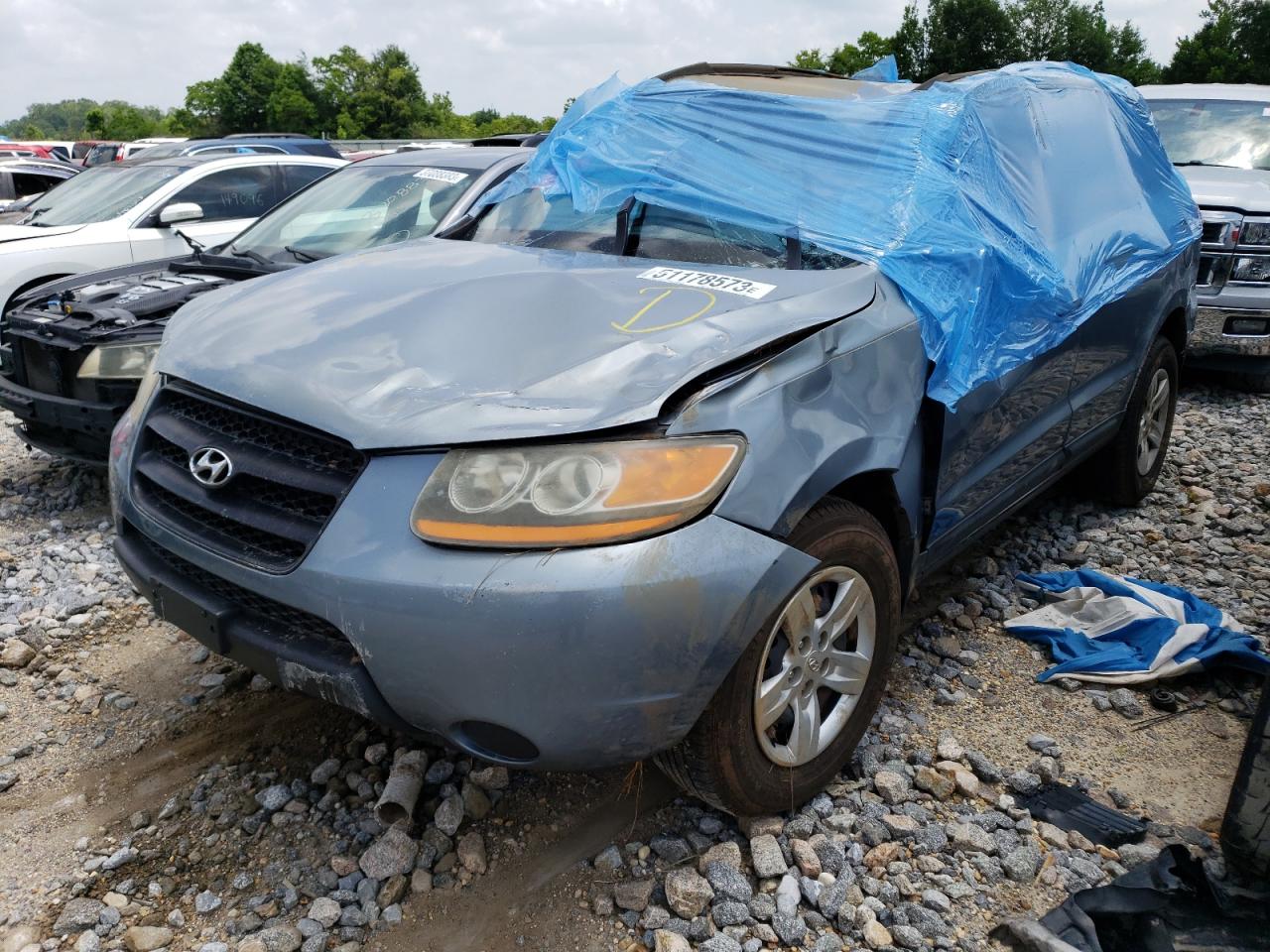 HYUNDAI SANTA FE 2009 5nmsg13d49h323912