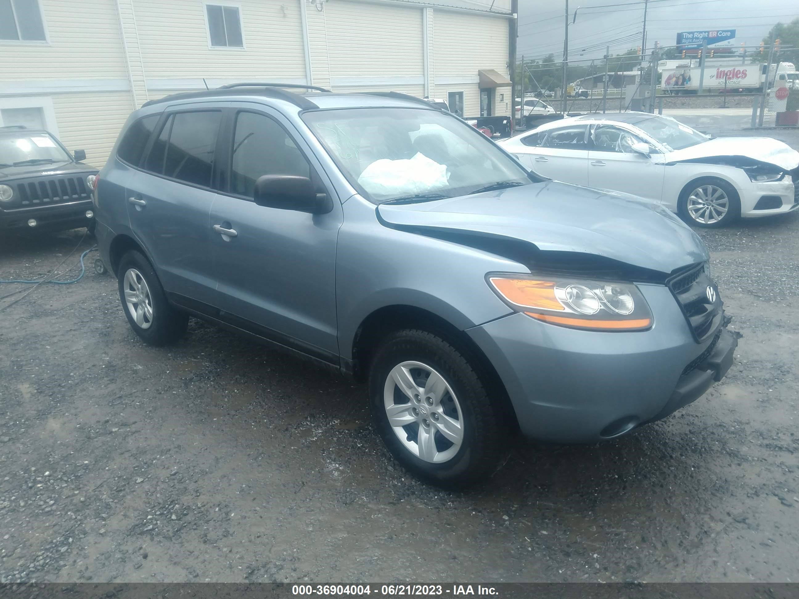 HYUNDAI SANTA FE 2009 5nmsg13d59h332568