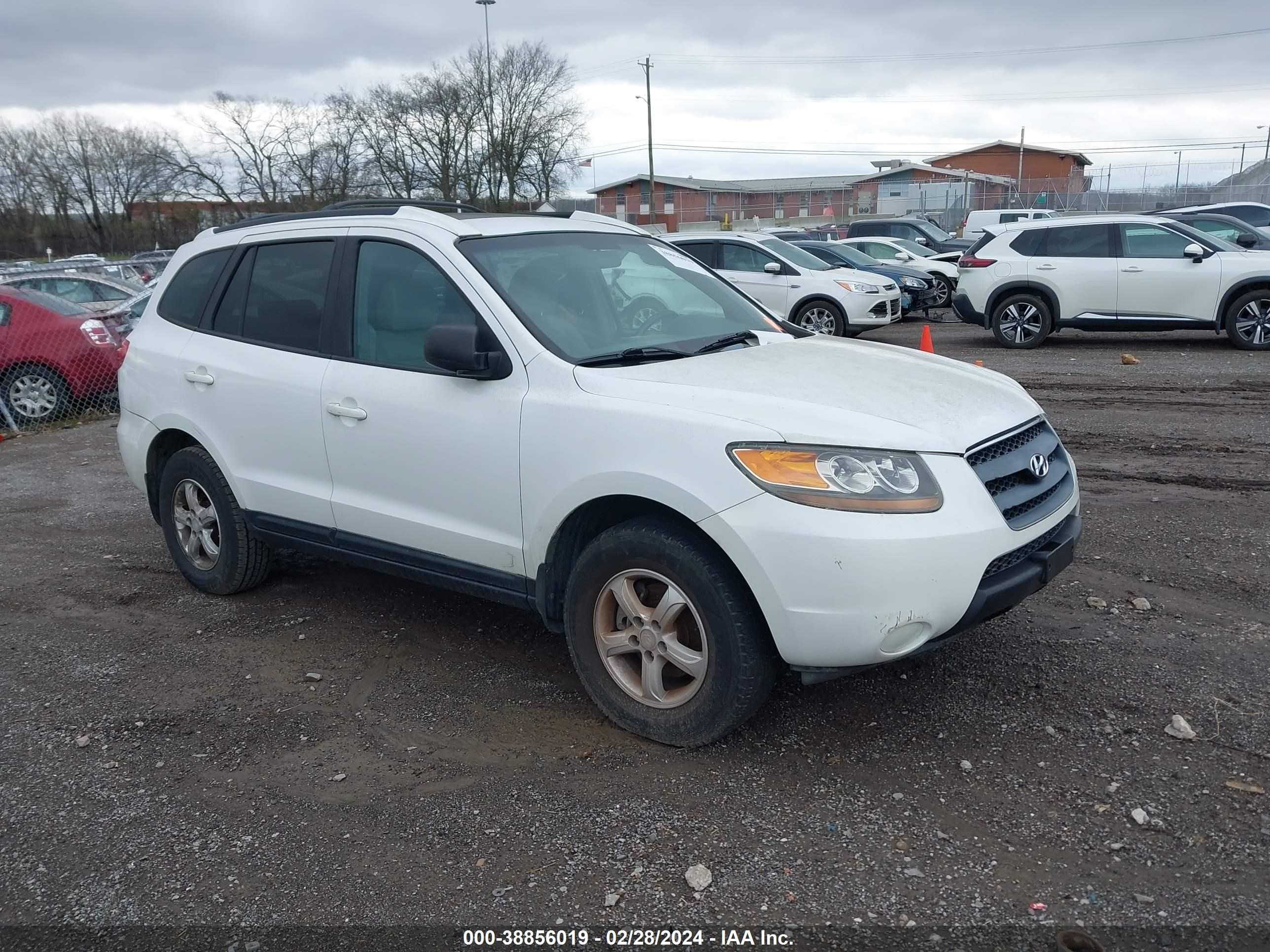 HYUNDAI SANTA FE 2007 5nmsg13d77h087060