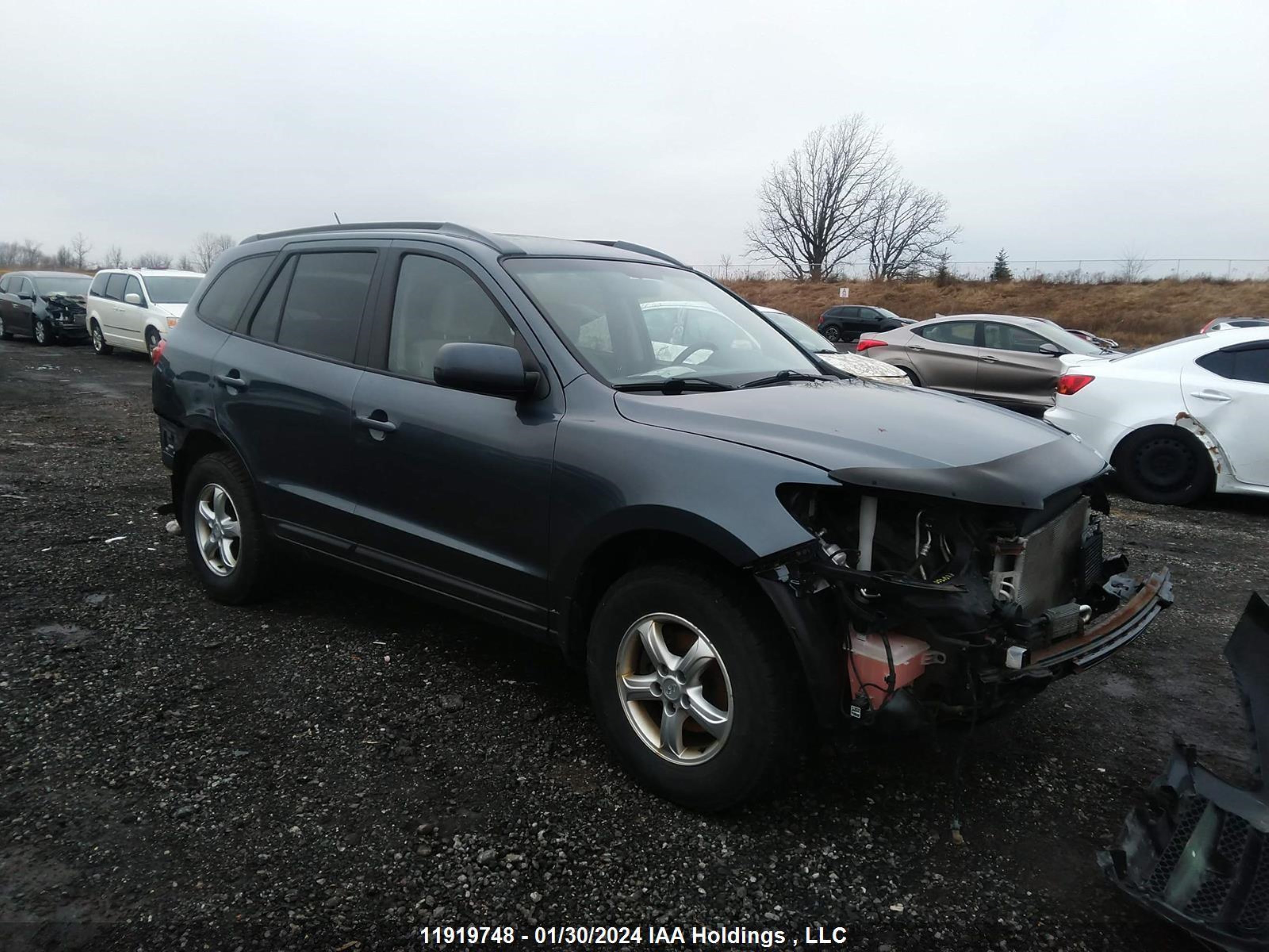 HYUNDAI SANTA FE 2009 5nmsg13e19h257666