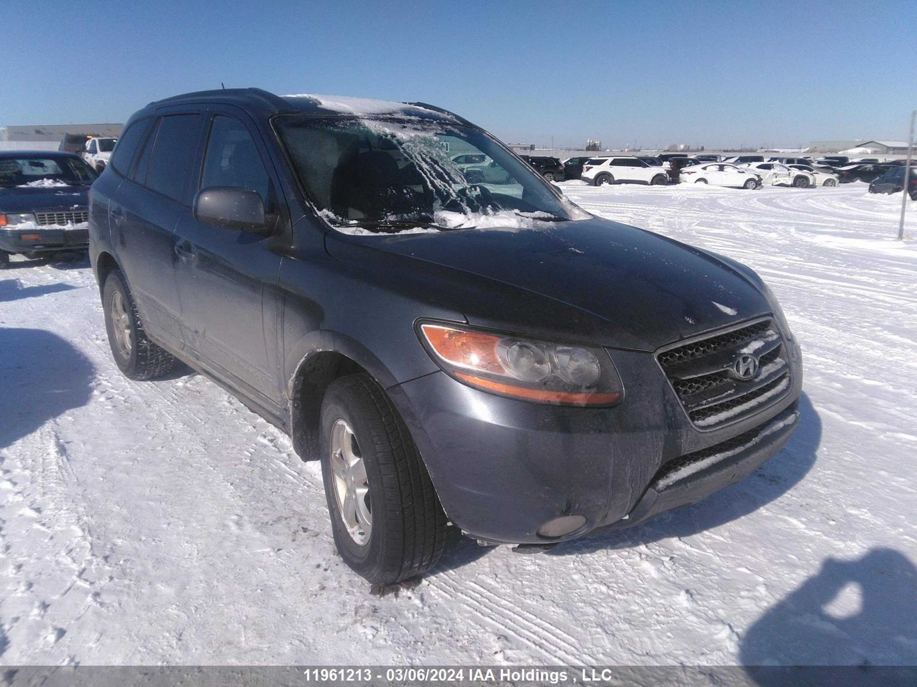 HYUNDAI SANTA FE 2009 5nmsg13e29h324310