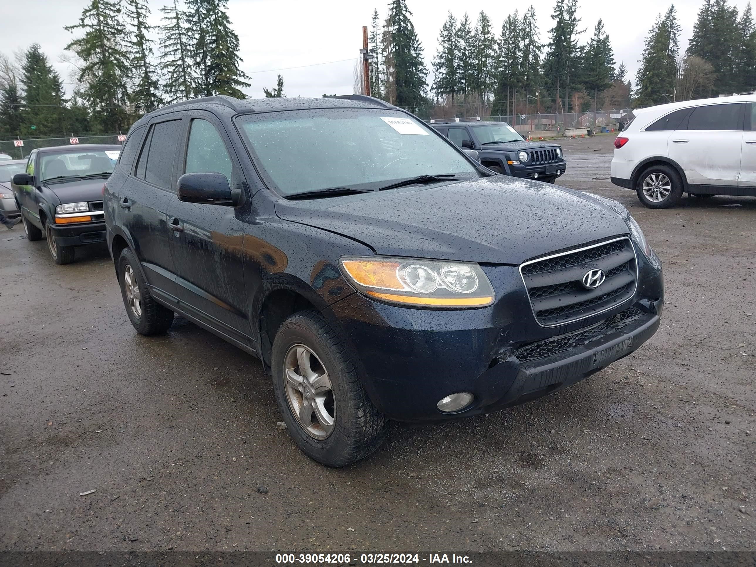 HYUNDAI SANTA FE 2009 5nmsg13e69h248767