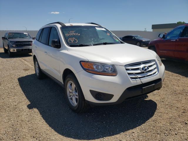 HYUNDAI SANTA FE G 2010 5nmsg3ab8ah349706