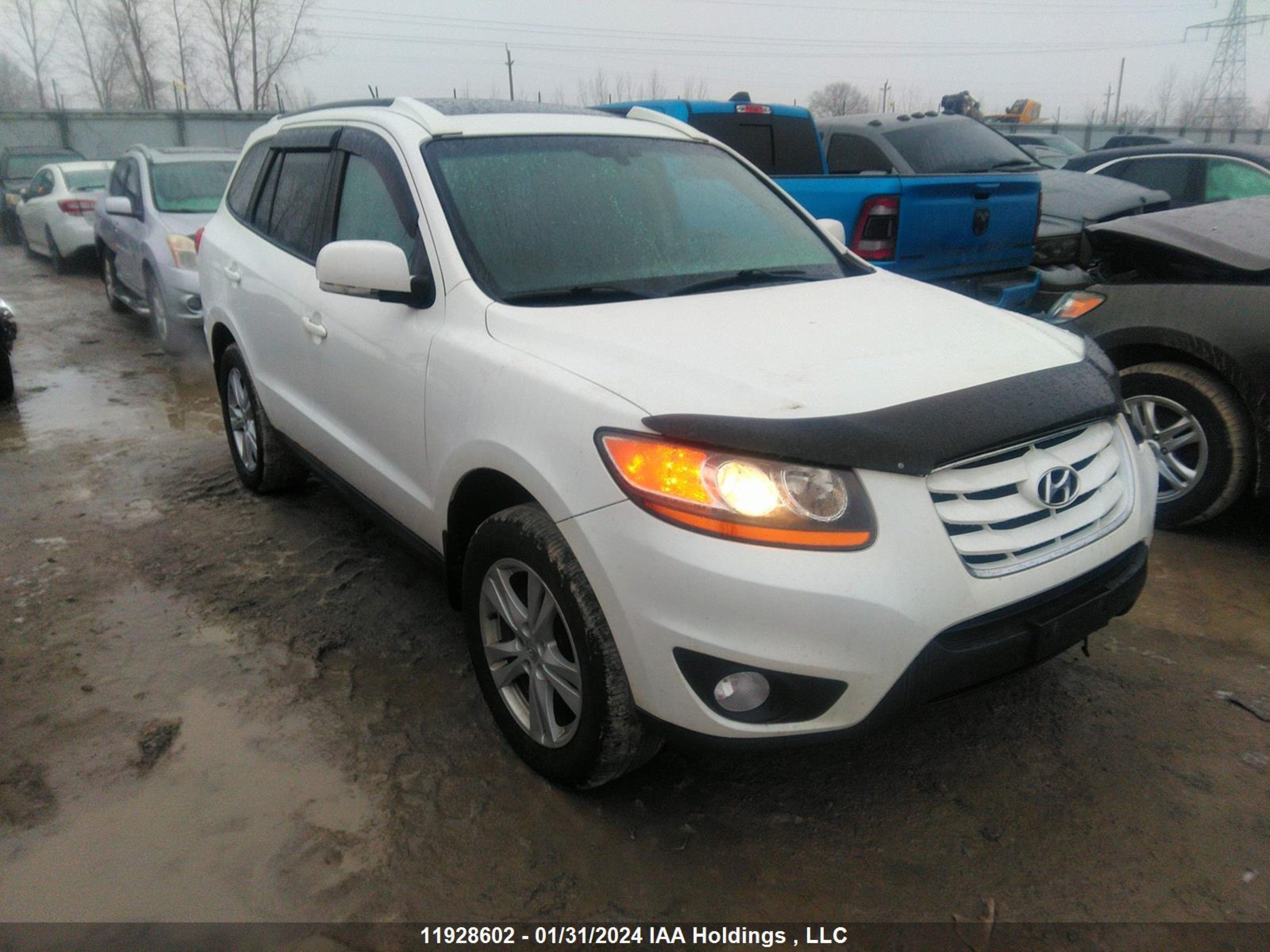 HYUNDAI SANTA FE 2010 5nmsg4ag4ah359943