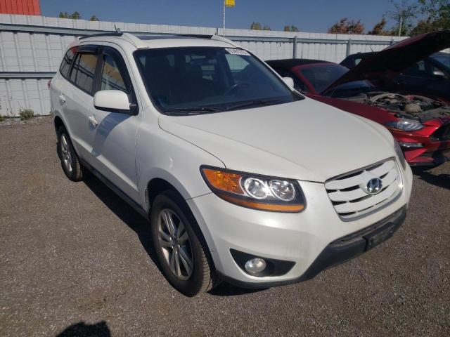 HYUNDAI SANTA FE G 2010 5nmsg4ag9ah391402