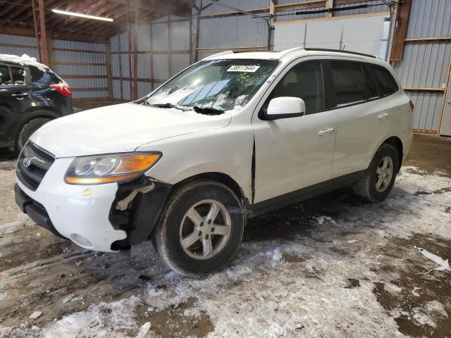 HYUNDAI SANTA FE 2009 5nmsg73e99h231593