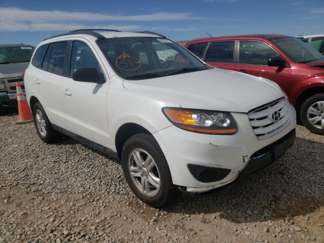 HYUNDAI SANTA FE G 2010 5nmsgdab1ah355062