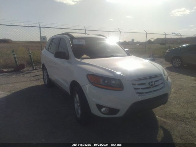 HYUNDAI SANTA FE 2010 5nmsgdab1ah364067