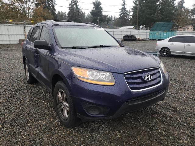 HYUNDAI SANTA FE G 2010 5nmsgdab3ah410031