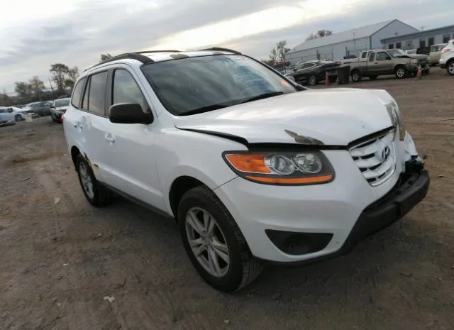 HYUNDAI SANTA FE 2010 5nmsgdab4ah416954