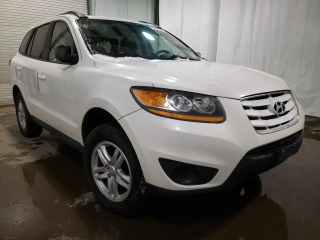 HYUNDAI SANTA FE G 2010 5nmsgdab9ah358081