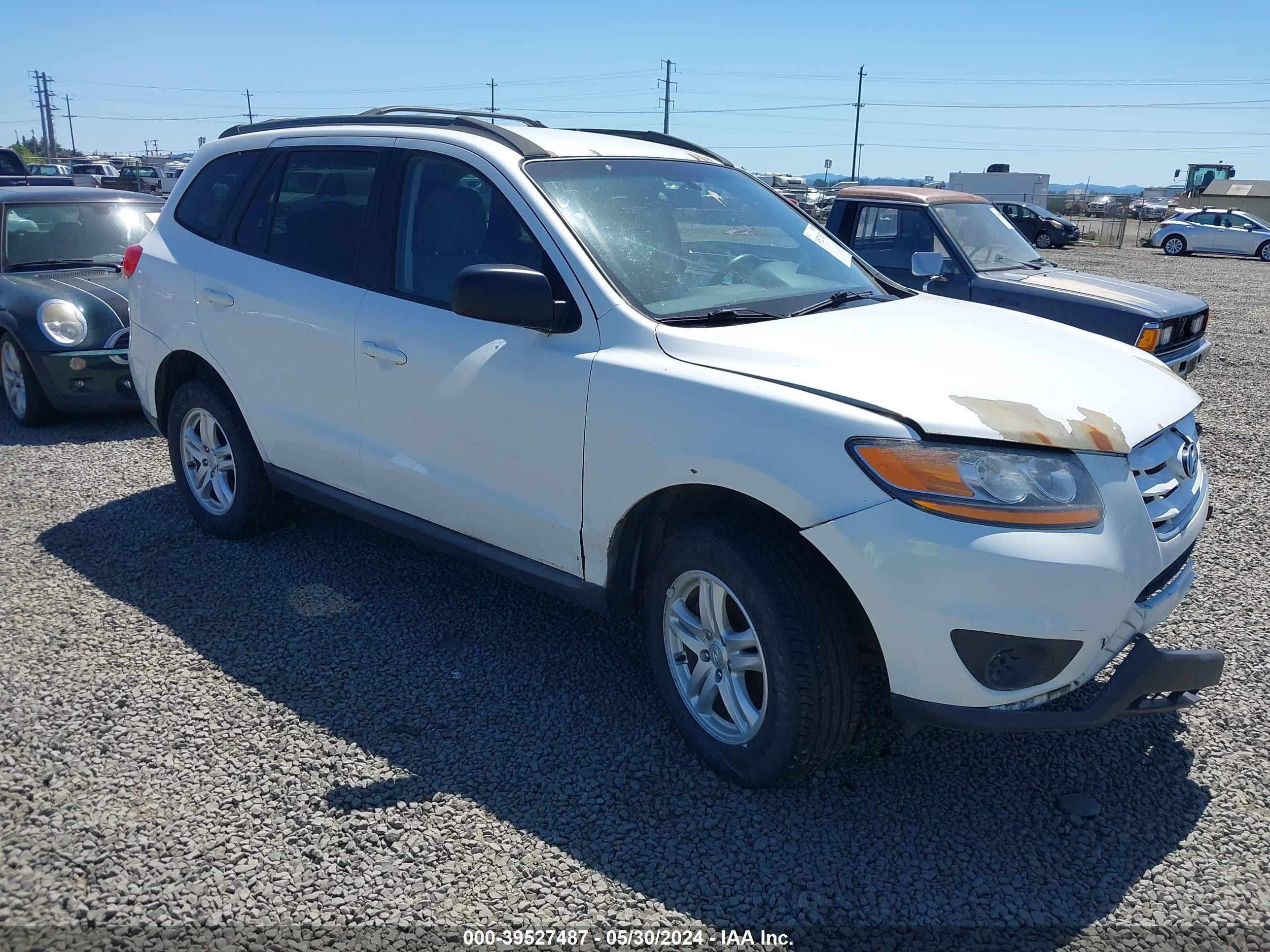 HYUNDAI SANTA FE 2010 5nmsgdab9ah400667