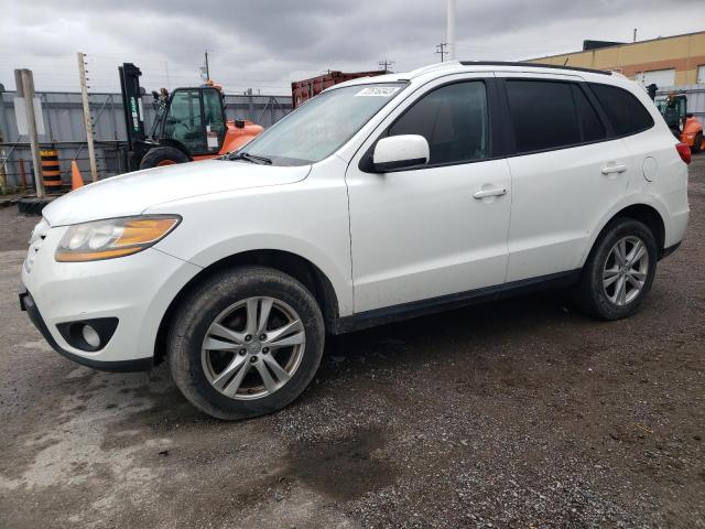 HYUNDAI SANTA FE 2010 5nmsgdag6ah413274