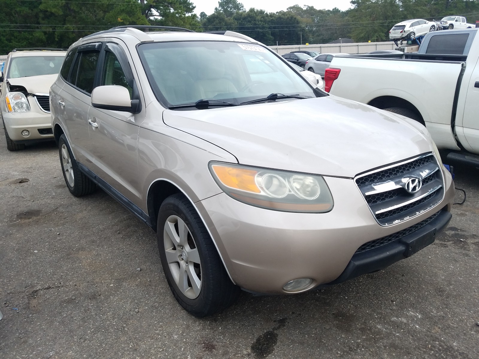 HYUNDAI SANTA FE S 2007 5nmsh13e07h009449