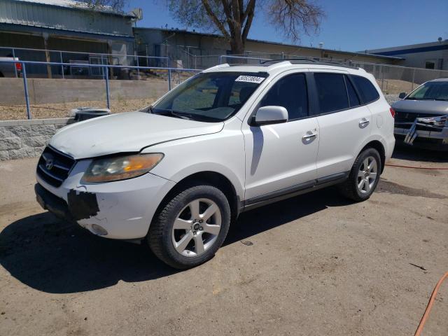 HYUNDAI SANTA FE 2009 5nmsh13e29h248455