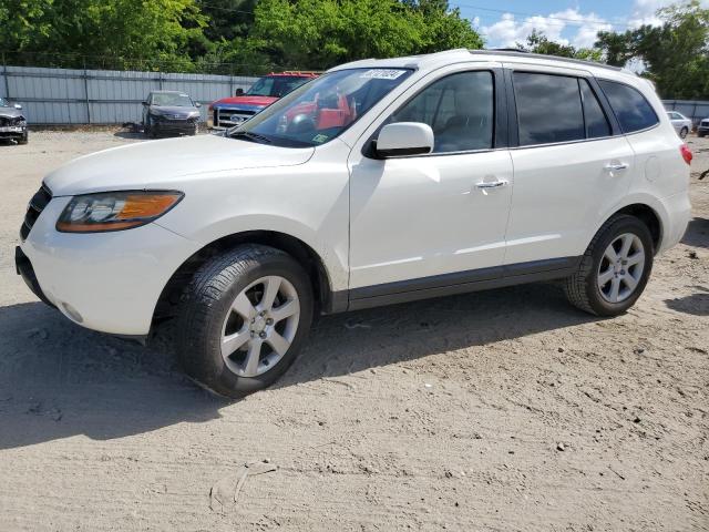 HYUNDAI SANTA FE S 2009 5nmsh13e39h295980