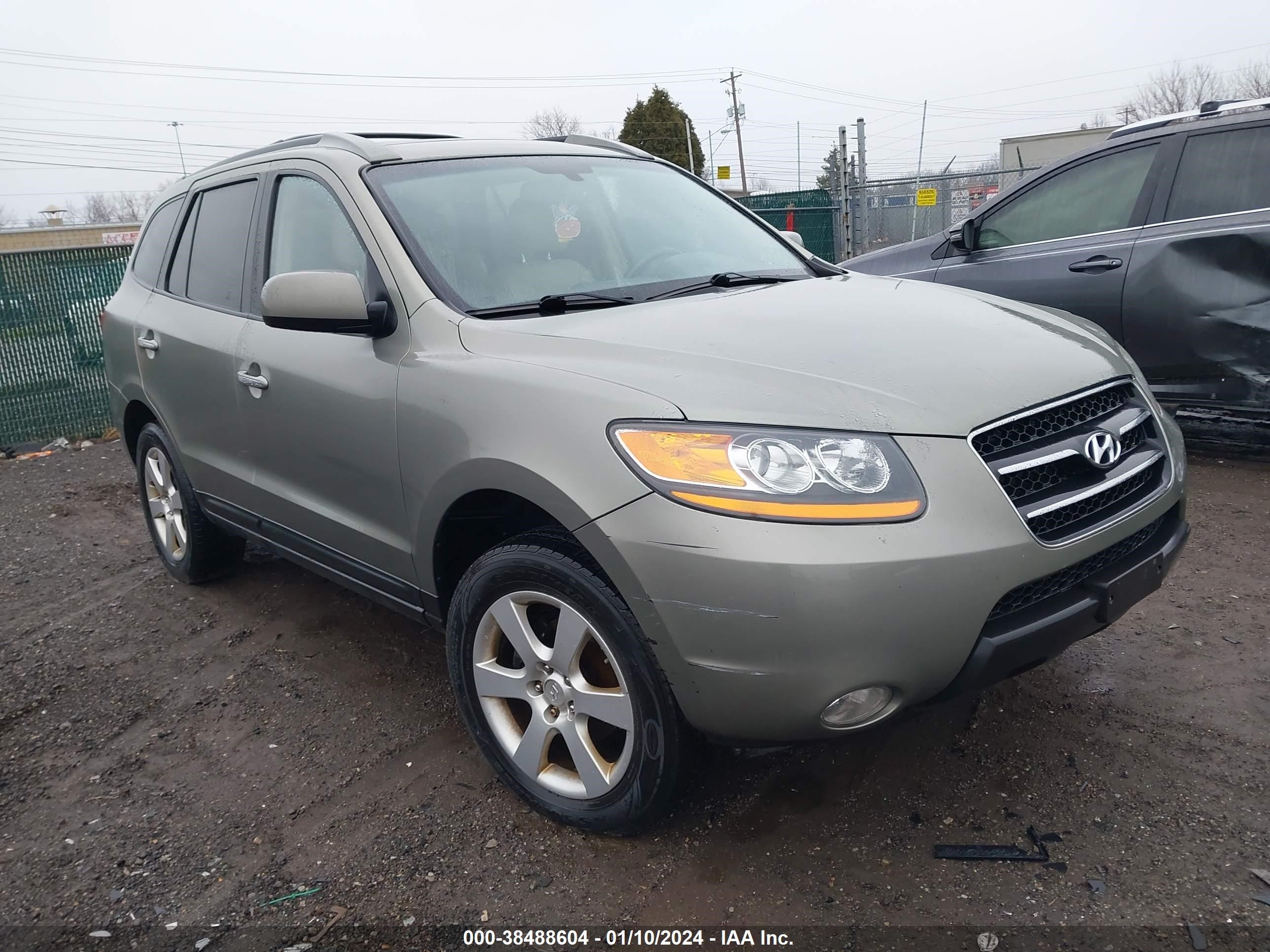 HYUNDAI SANTA FE 2009 5nmsh13e49h313239