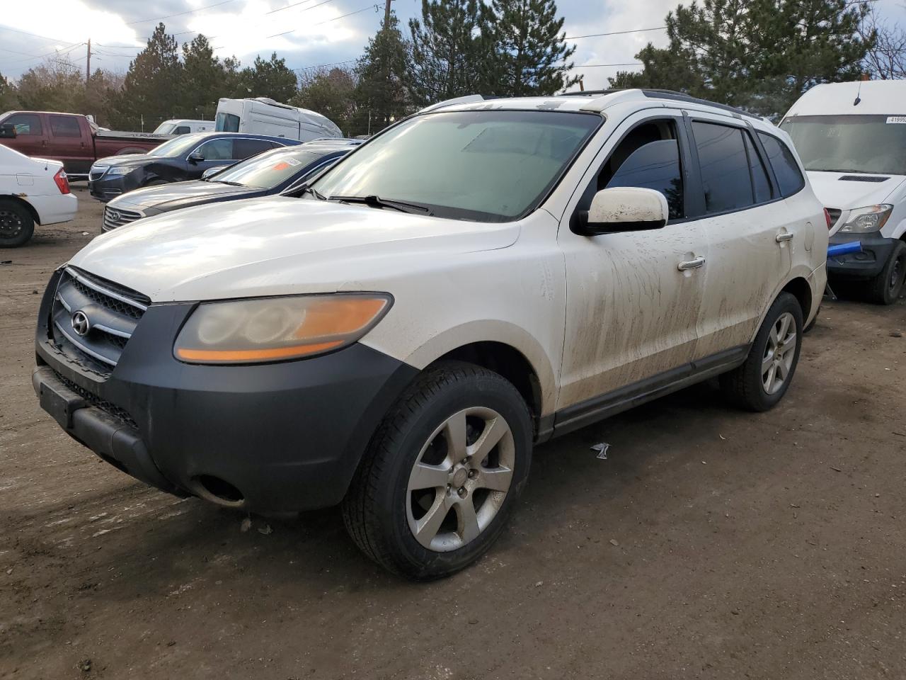 HYUNDAI SANTA FE 2009 5nmsh73e49h307038