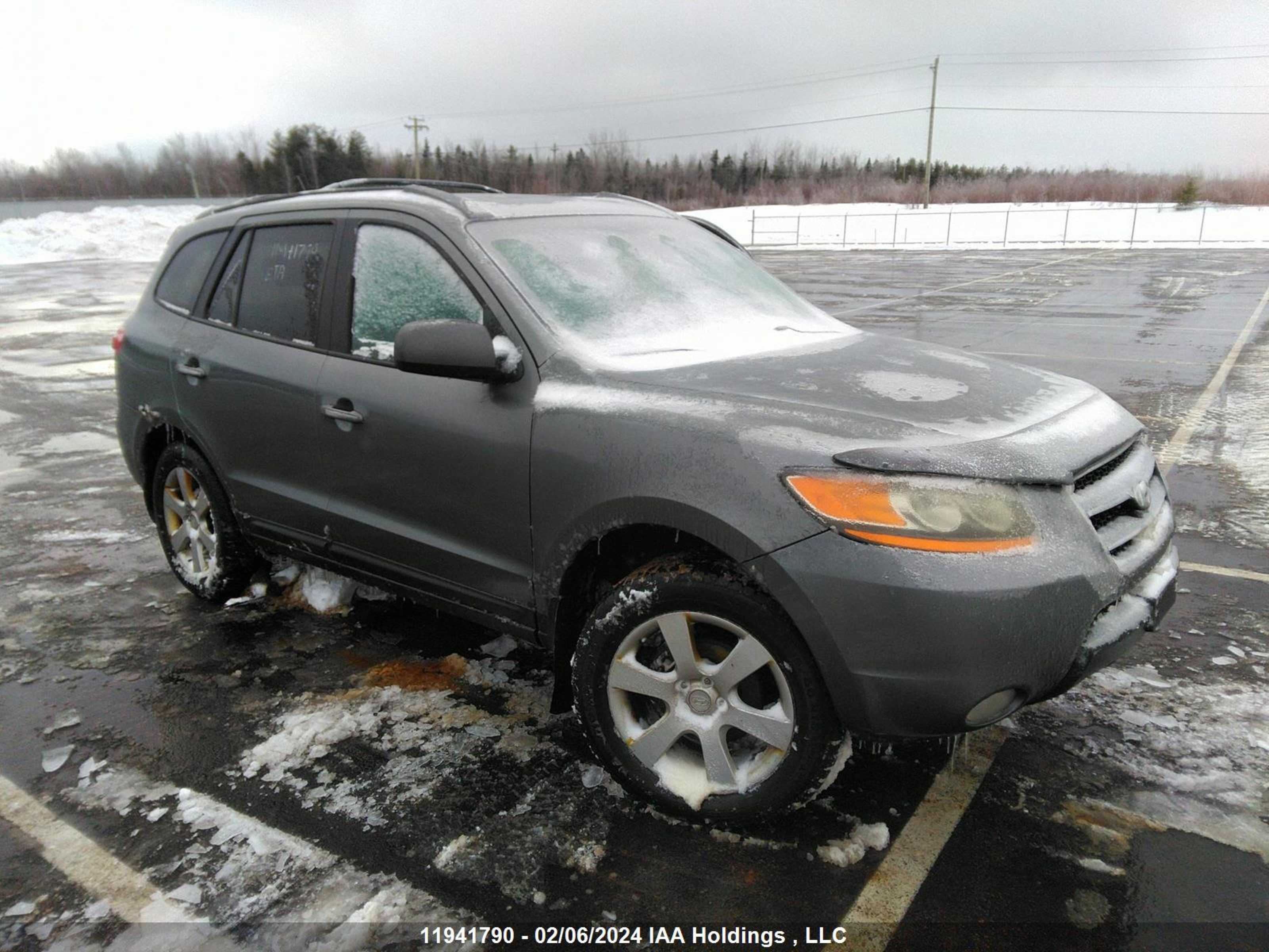 HYUNDAI SANTA FE 2009 5nmsh73e69h262491