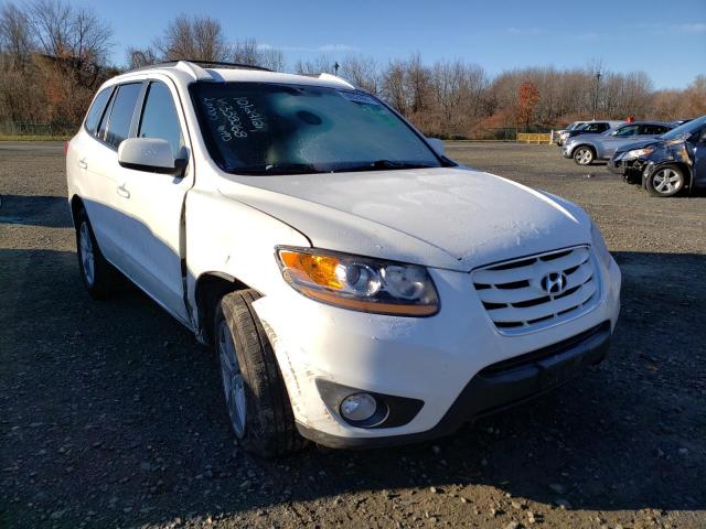 HYUNDAI SANTA FE S 2010 5nmshdag1ah338268