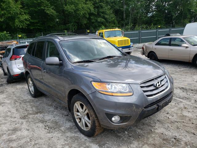 HYUNDAI SANTA FE S 2010 5nmshdag2ah417478