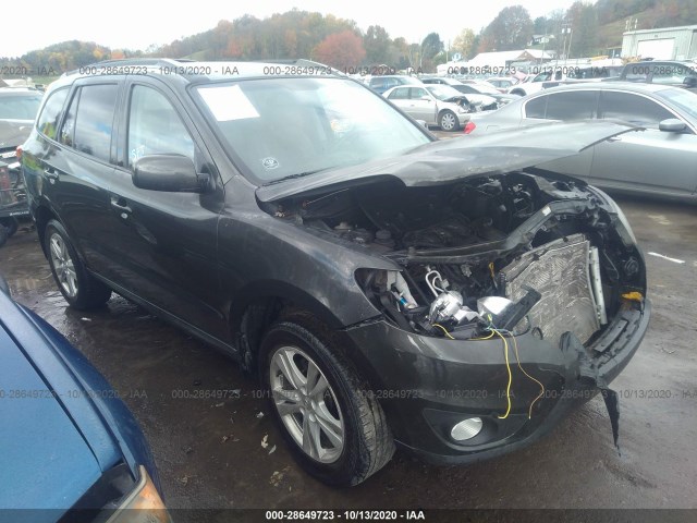 HYUNDAI SANTA FE 2010 5nmshdag3ah406912