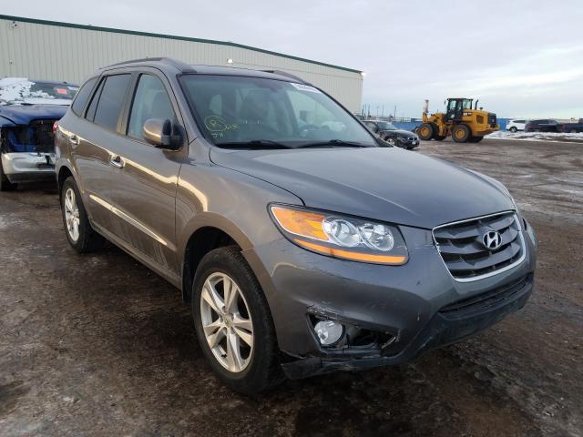 HYUNDAI SANTA FE S 2010 5nmshdag4ah375511