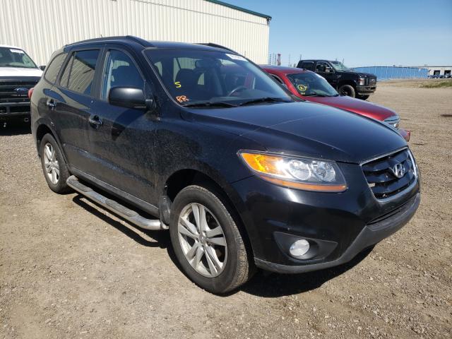 HYUNDAI SANTA FE S 2010 5nmshdag7ah349484